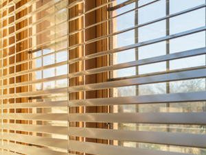curtain and poll