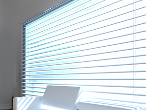 window with blinds